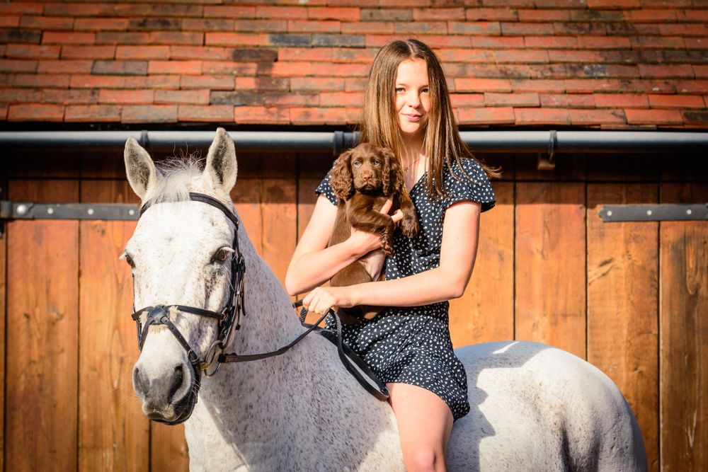 Grey Pony with dog.