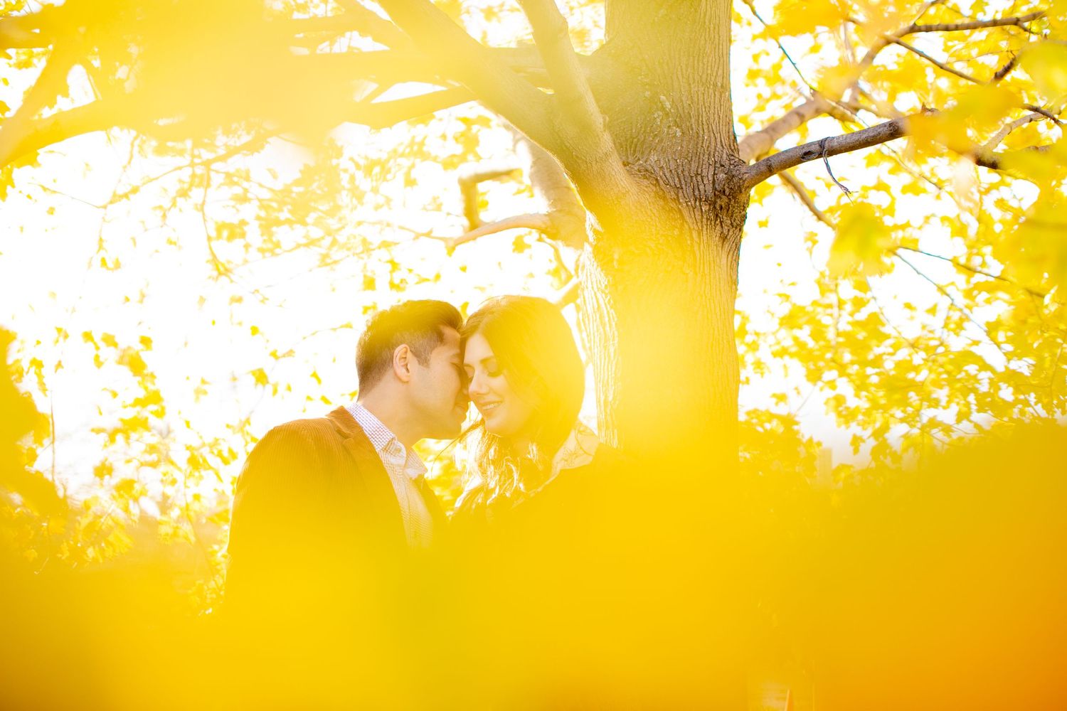 Romantic silhouette against golden autumn leaves and sunlight.