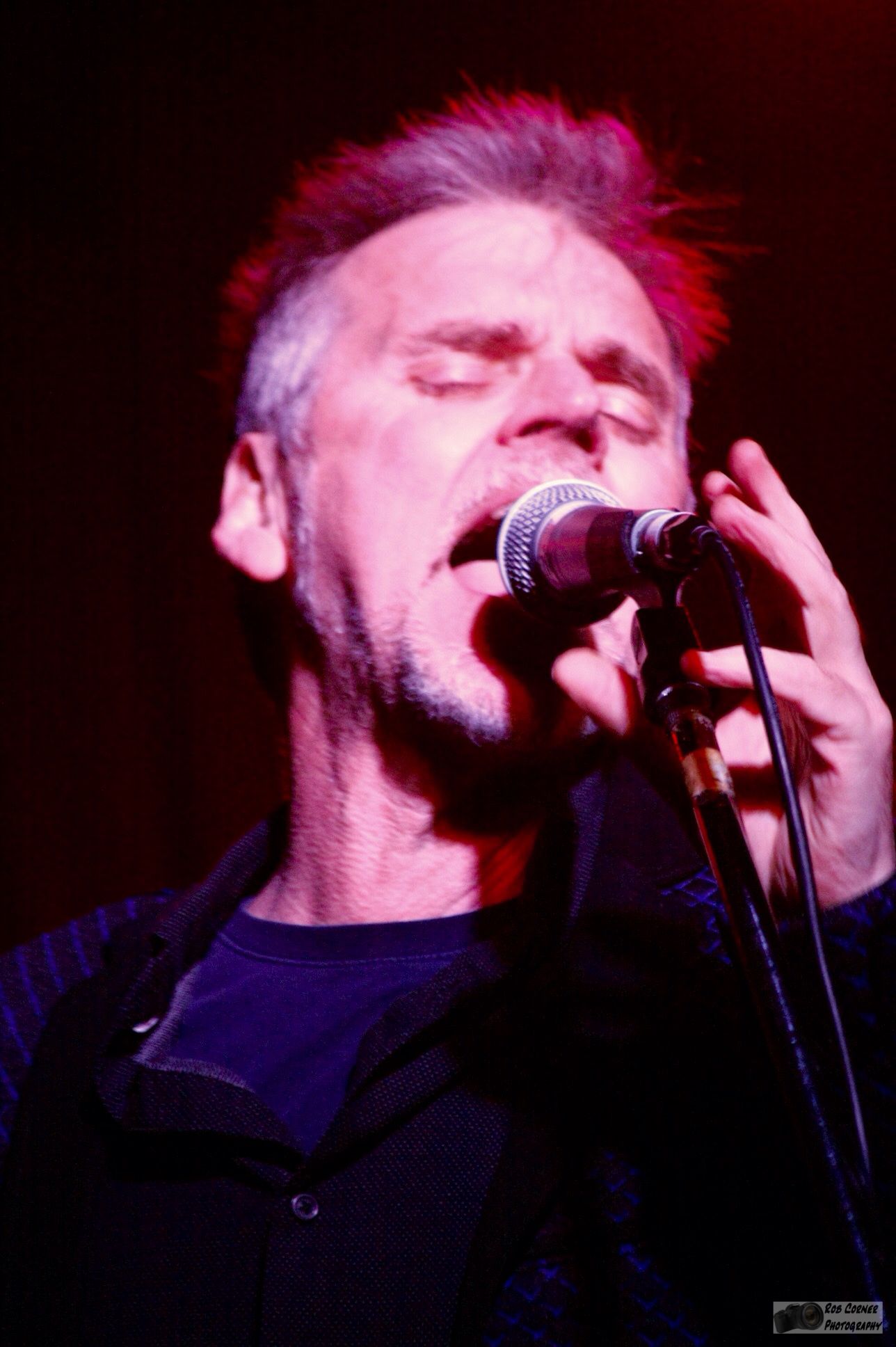 Moving Pictures lead singer at 2015 Longview Farm Party