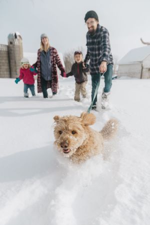 Dog leading family through Minnesota snow