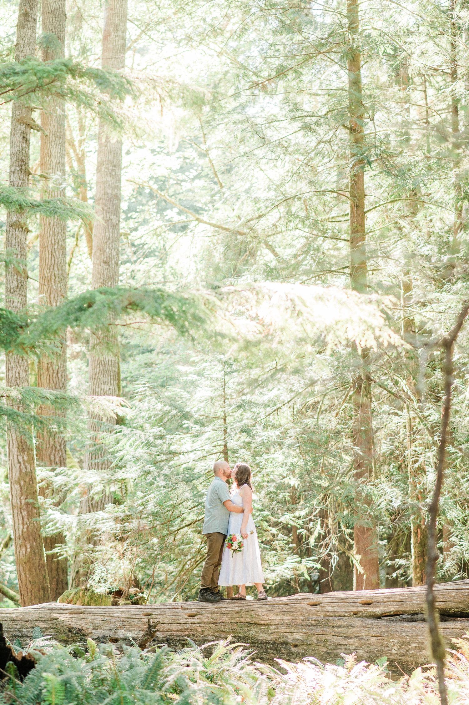Couple embracing standing on top of fallen log in forest