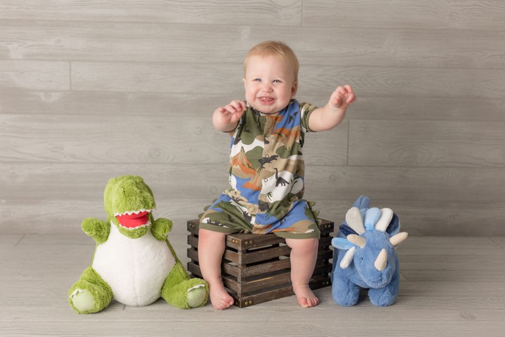 Baby sits between plush toys on wooden crate wearing dinosaur outfit.
