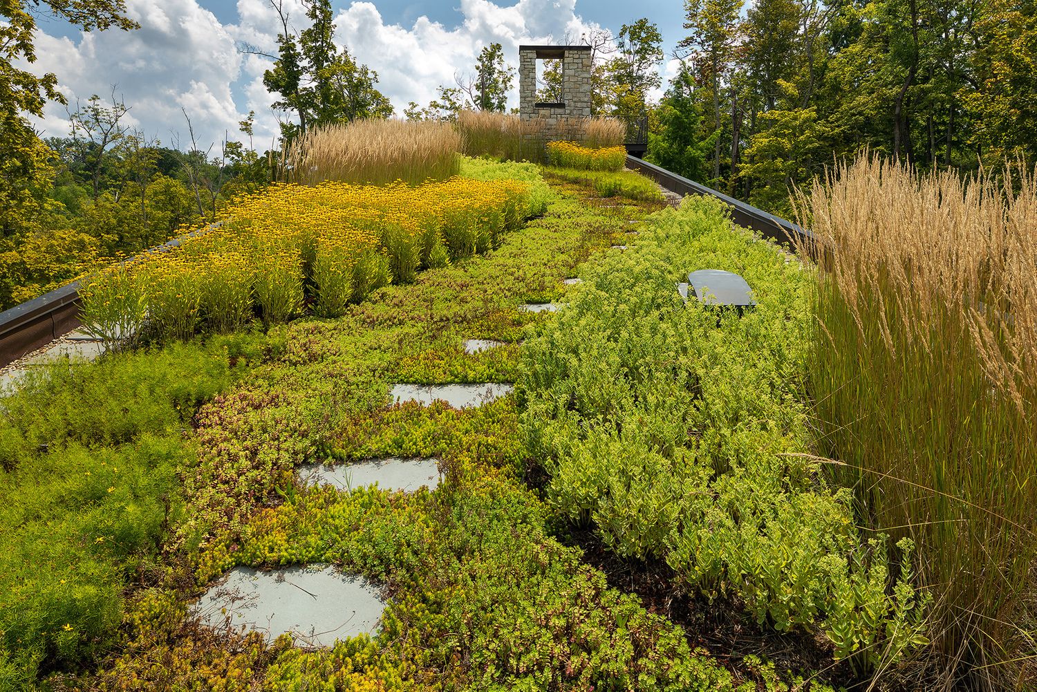Landscape architecture photography by Studio 66 of a John Senhauser Architects house