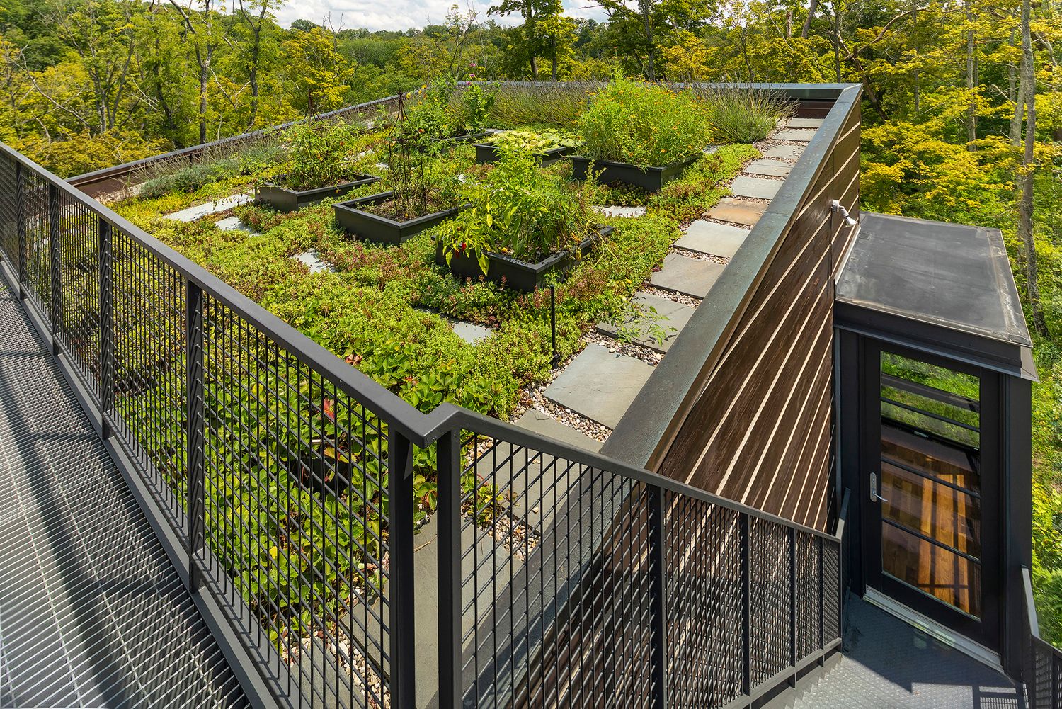 Landscape architecture photography by Studio 66 of a John Senhauser Architects house