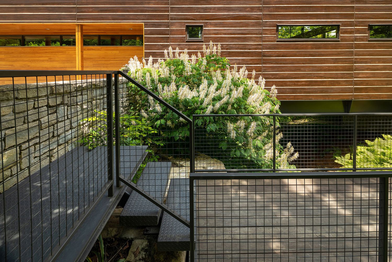 Landscape architecture photography by Studio 66 of a John Senhauser Architects house