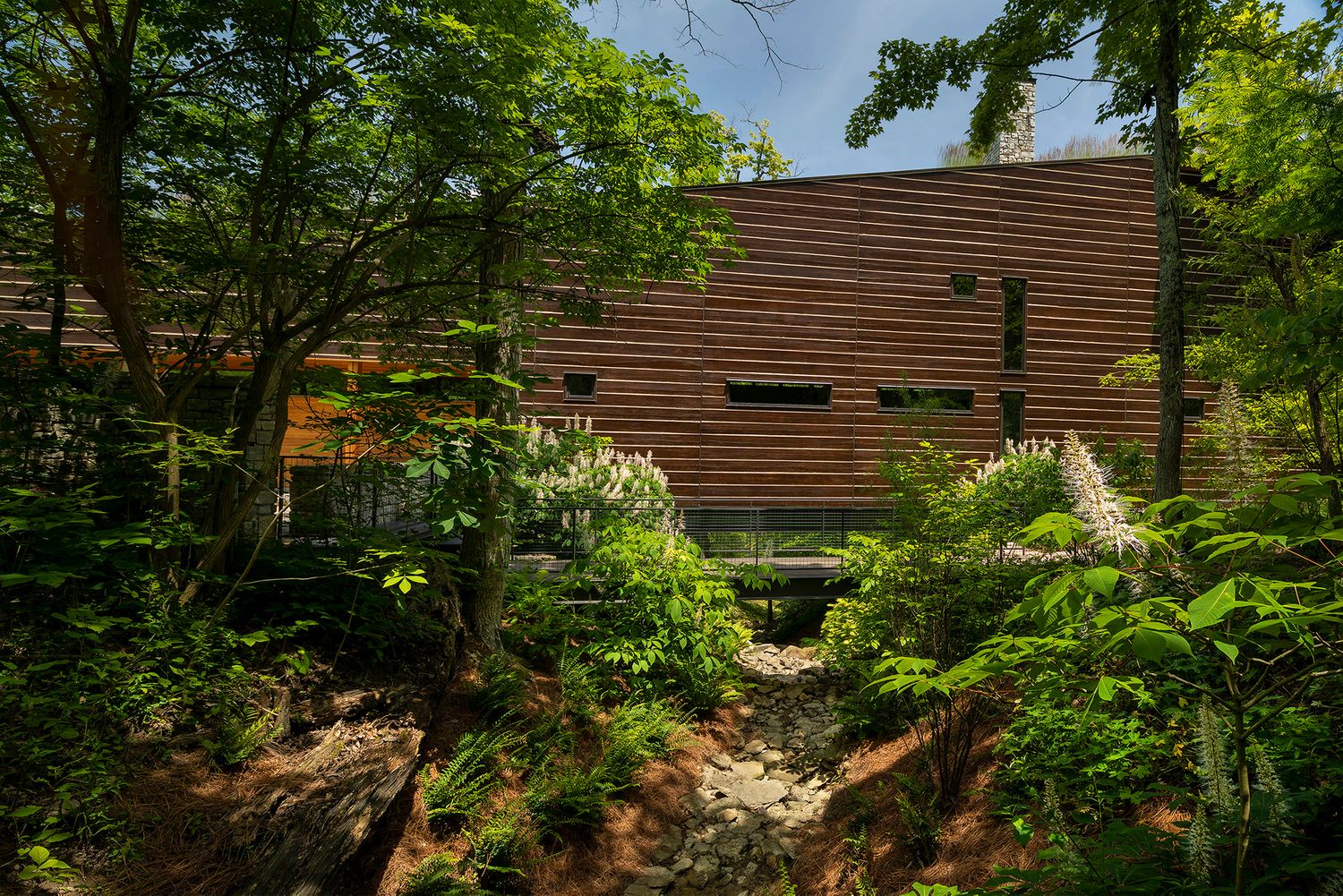 Landscape architecture photography by Studio 66 of a John Senhauser Architects house