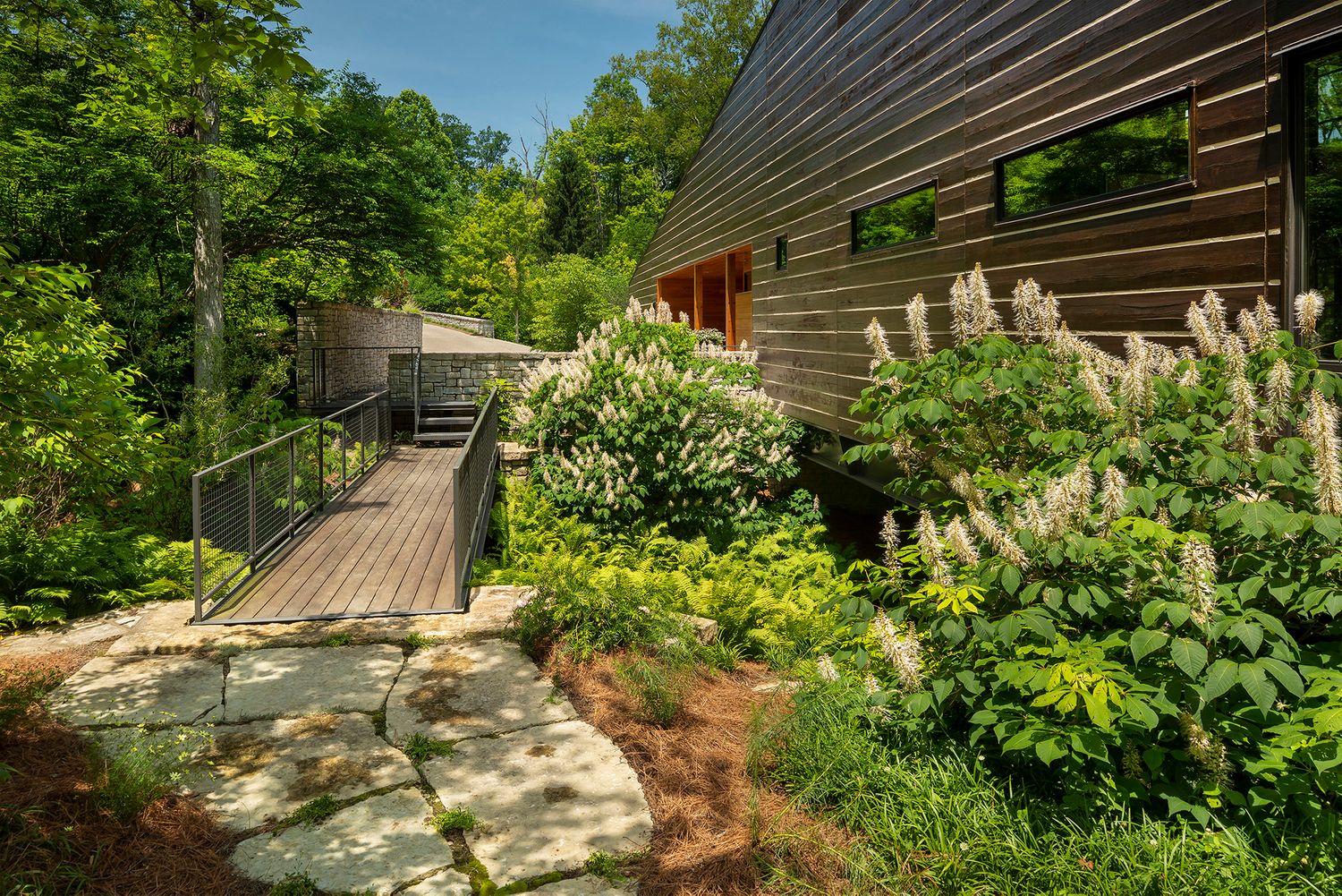 Landscape architecture photography by Studio 66 of a John Senhauser Architects house