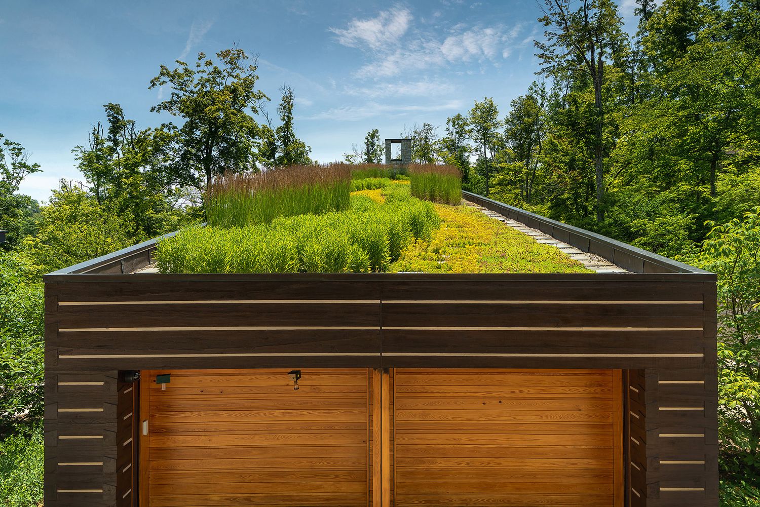 Landscape architecture photography by Studio 66 of a John Senhauser Architects house