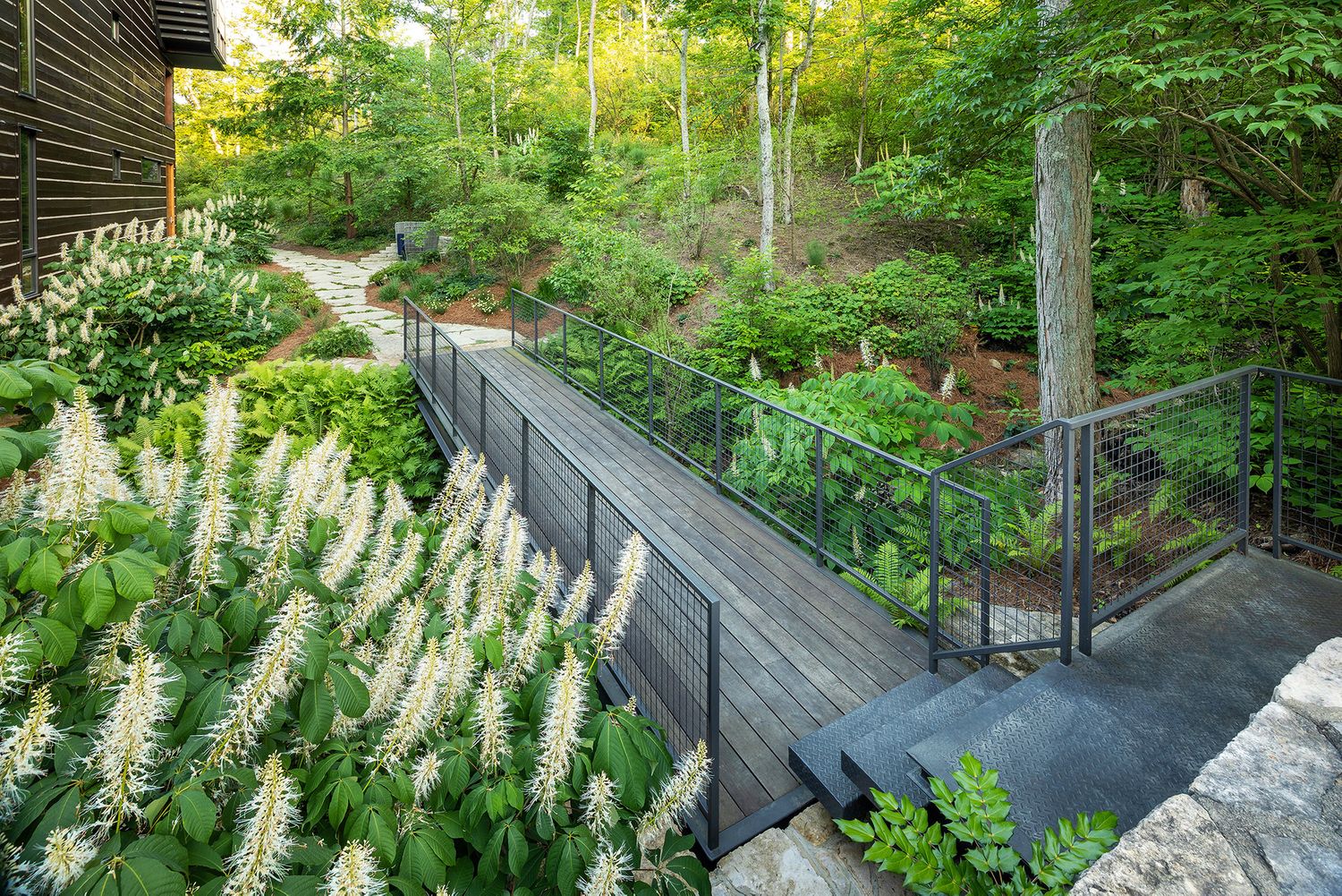 Landscape architecture photography by Studio 66 of a John Senhauser Architects house