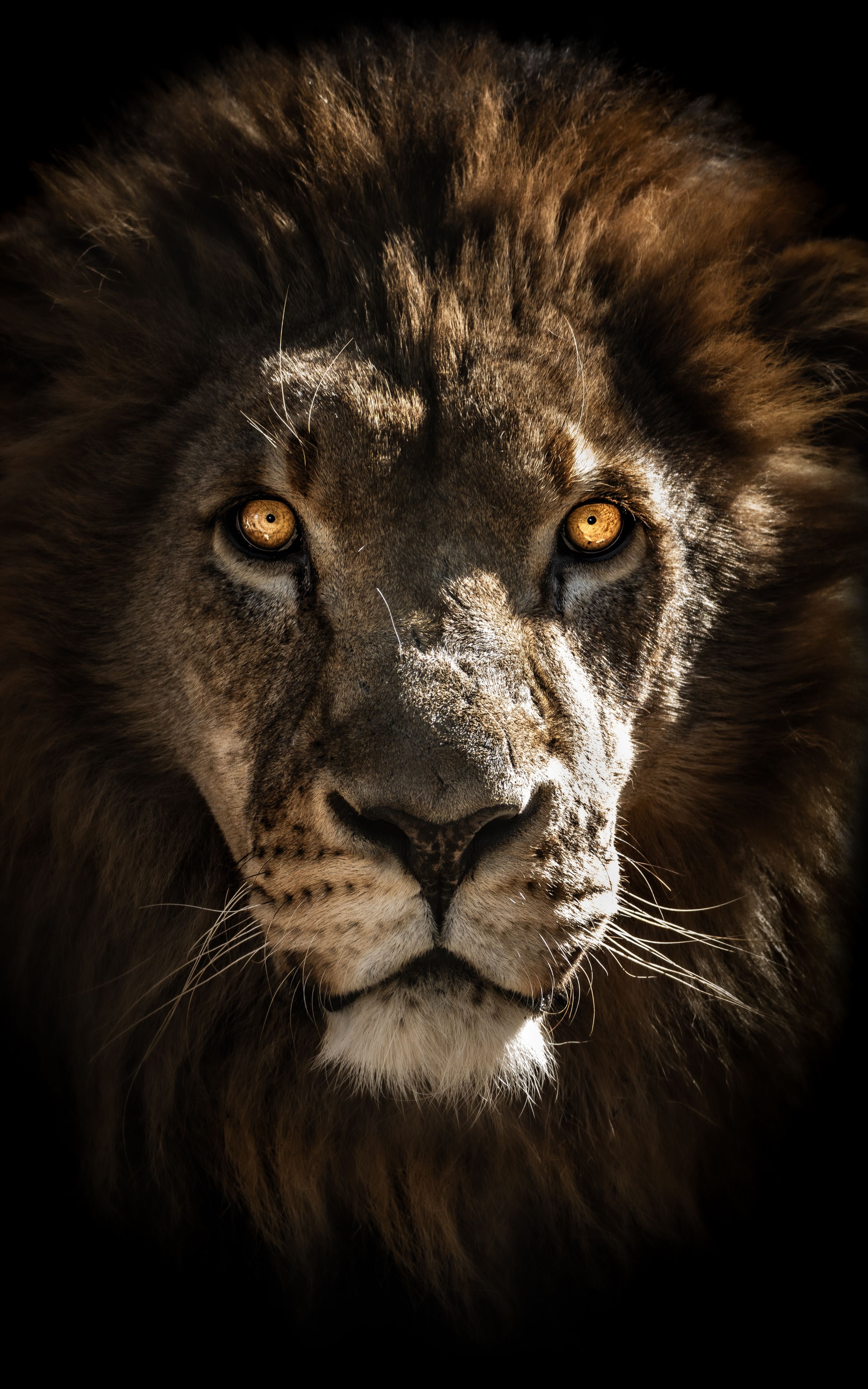 John Peters Photography