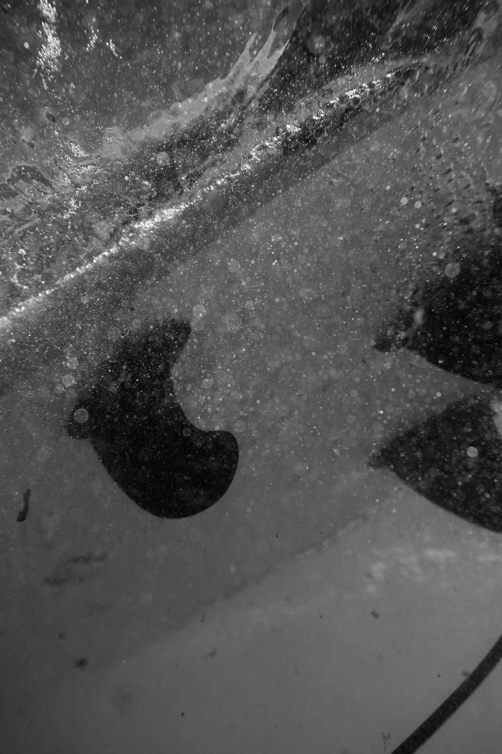 board fins from underwater