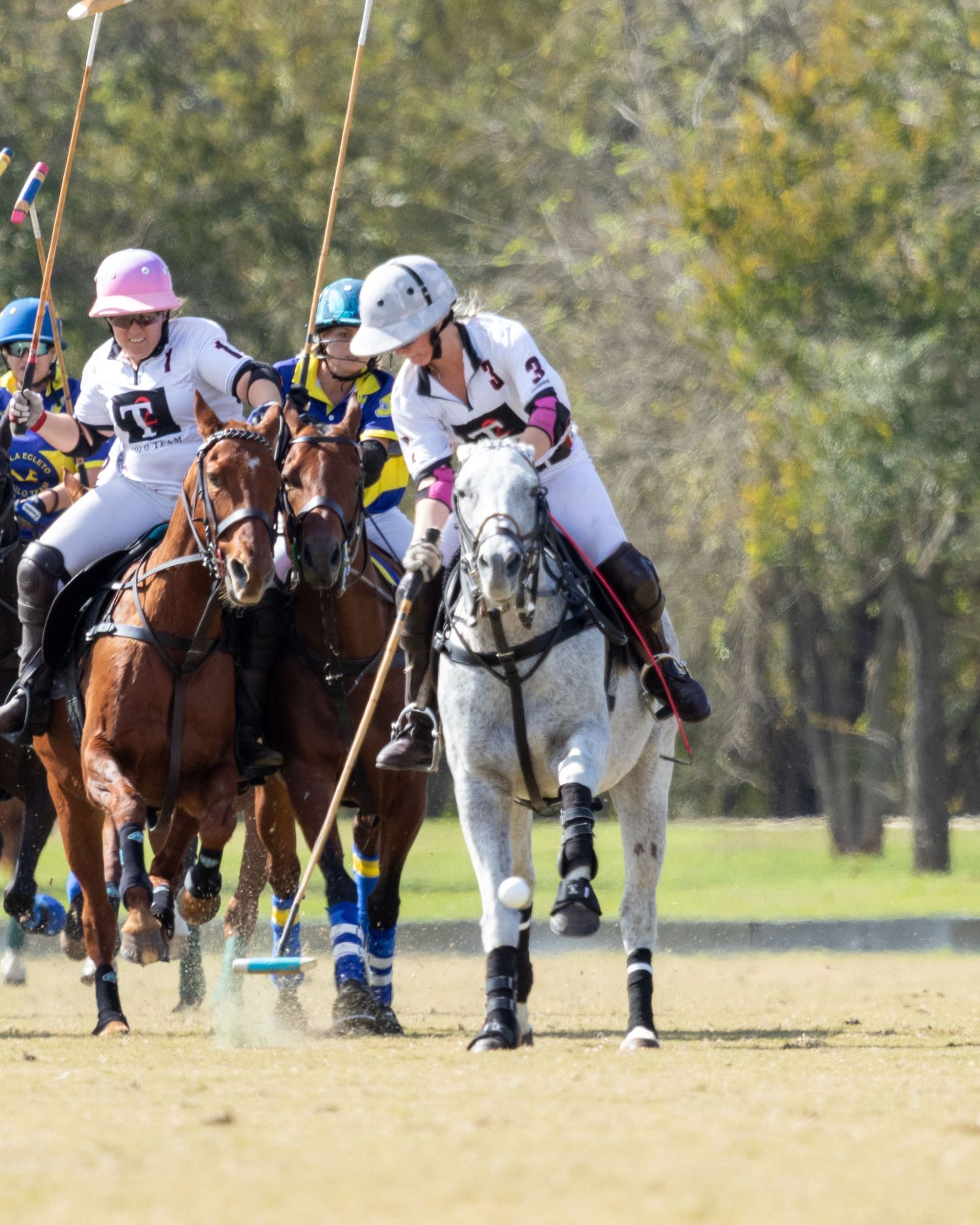 Polo