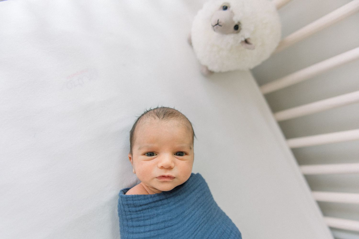 baby looking at camera at dc newborn photography session