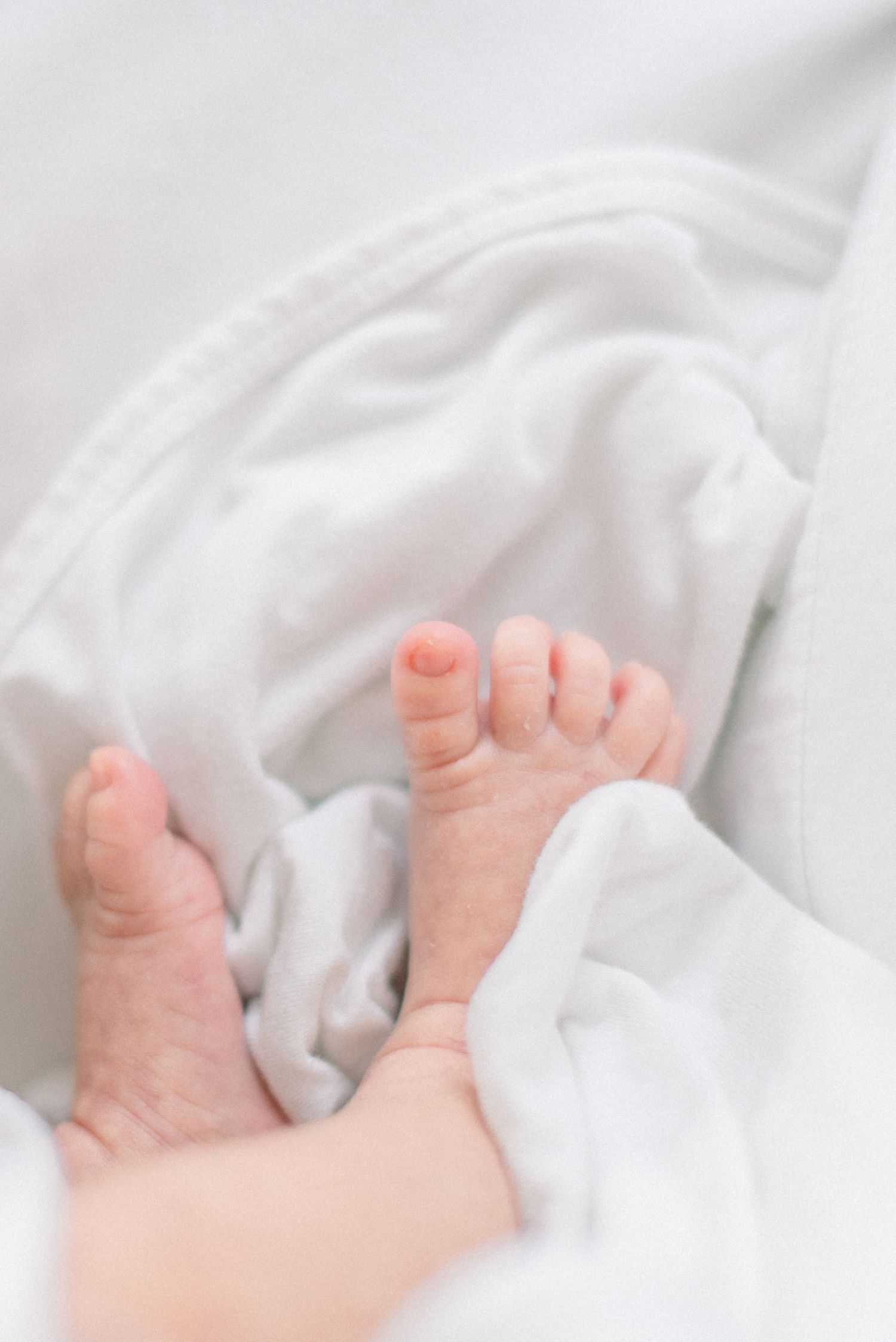 baby feet on white background at Washington DC Newborn session