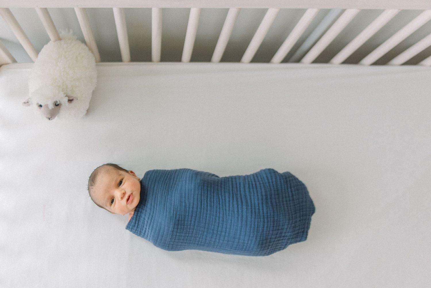 baby swaddled in crib at Washington DC Newborn session