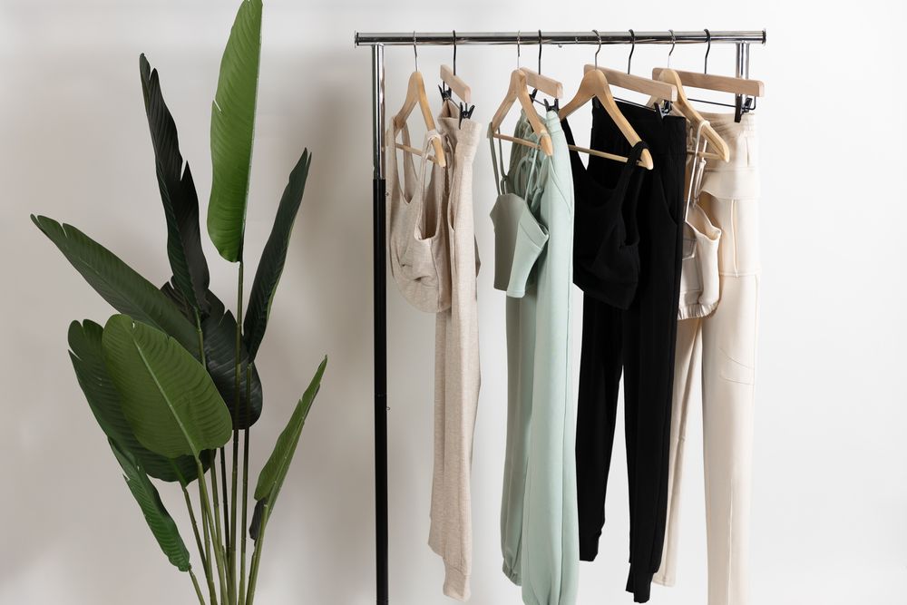 clothes hanging on hangers next to potted plant