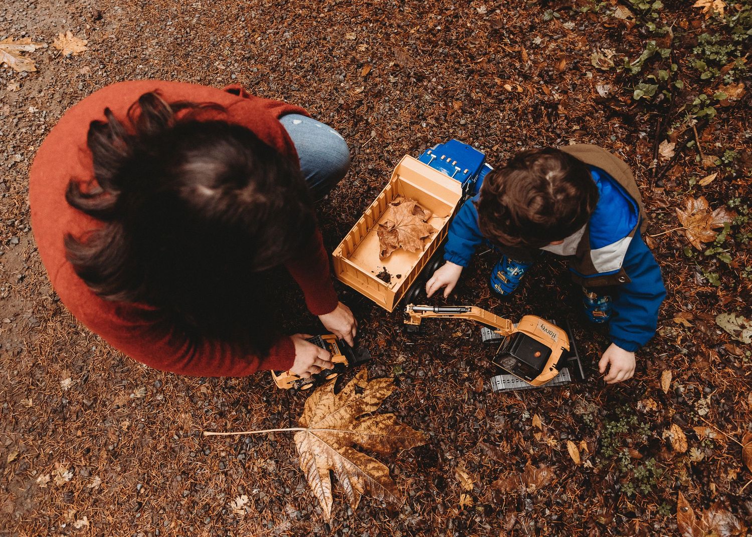 An overhead view of people examining fallen autumn leaves on the ground.