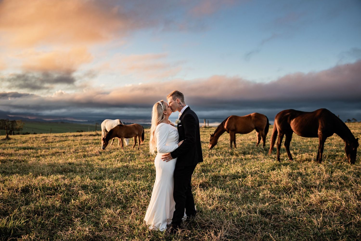 Wedding couple embraces in field at sunset with wild horses grazing in background.