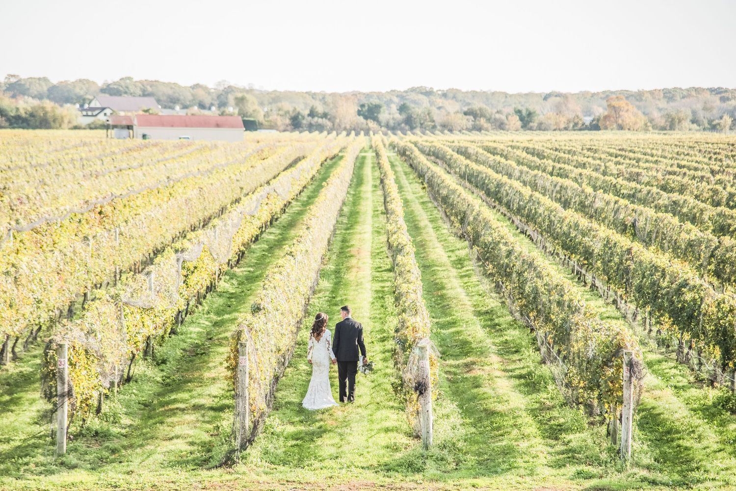 A couple walks hand in hand through the vineyards at Raphael Vineyards. Imagine Studios