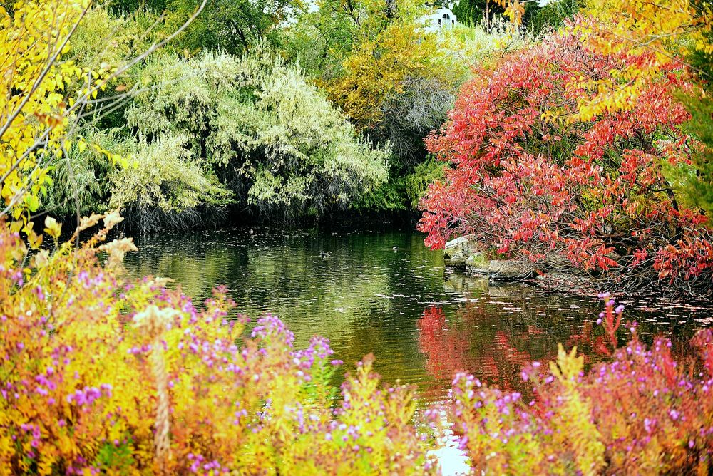 "Art takes time - Monet grew his gardens before he painted them." ~ Atticus