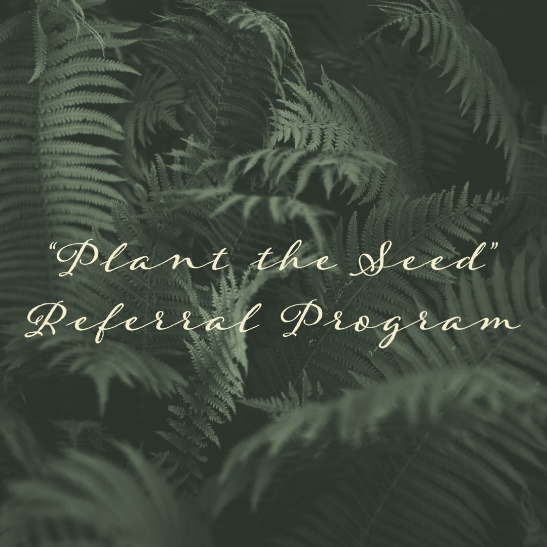 Dark moody fern leaves with elegant script text overlay reading Plant the Seed Referral Program.
