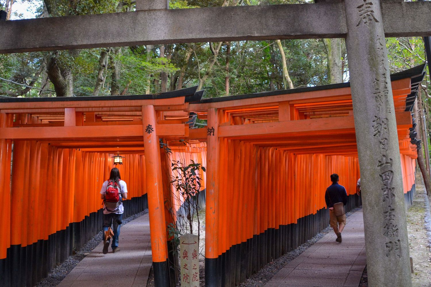 People walking through vibrant orange torii gates at a traditional Japanese shrine.