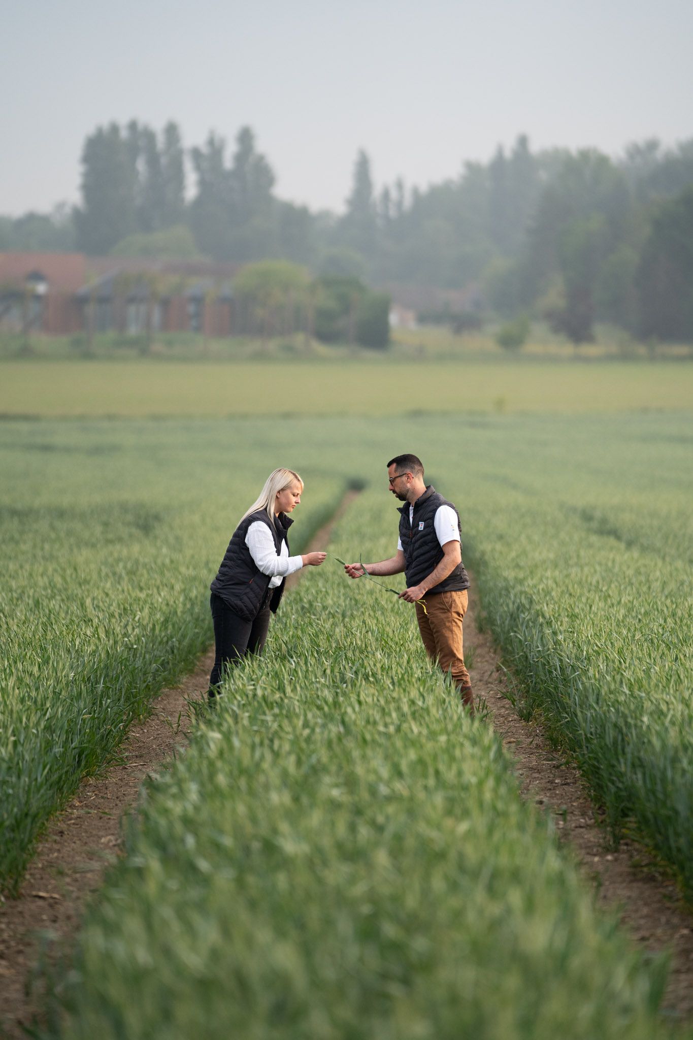 agricutlure photographer