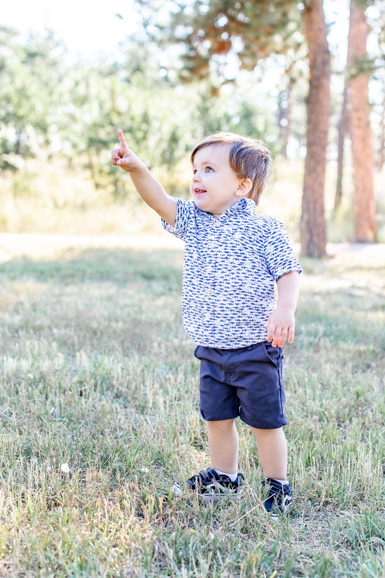 Toddler boy points out an airplane in the sky in Black Forest, Colorado.