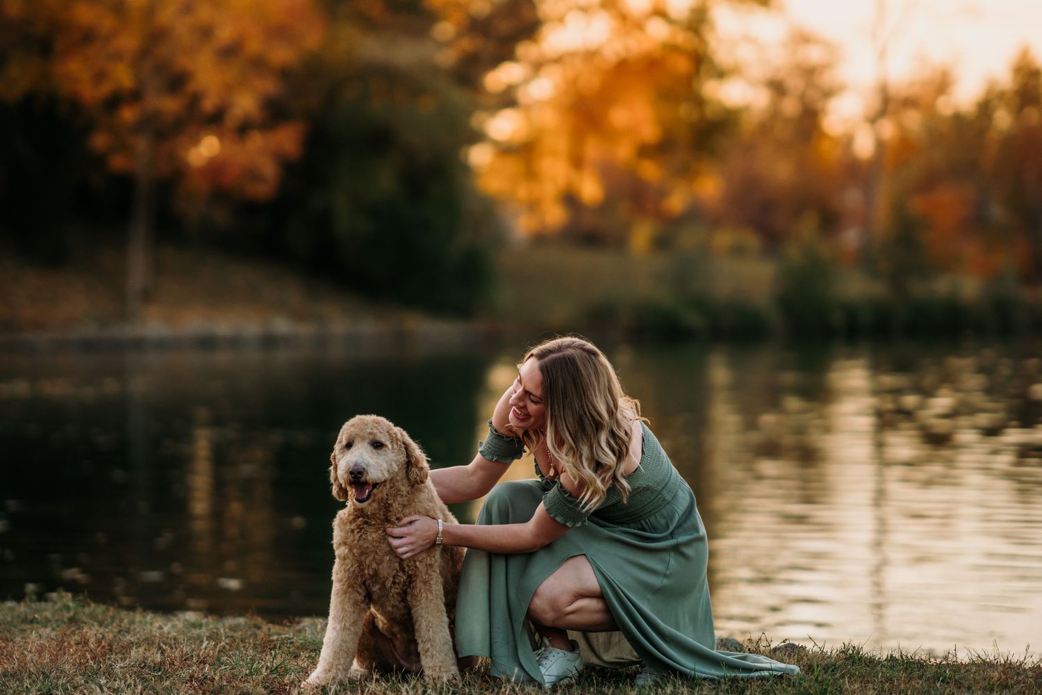 Dog Photographer Cincinnati Pet Photos near me Puppy Photography Poodle Labradoodle Goldendoodle. 
photographer near me