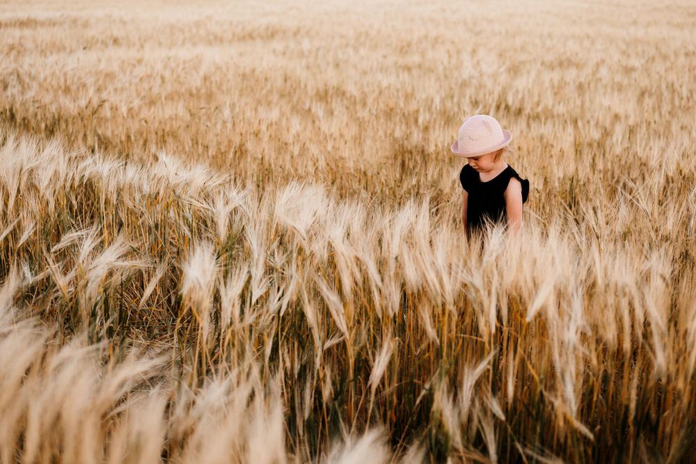 A figure stands in a golden wheat field at sunset creating a dreamy summer scene.