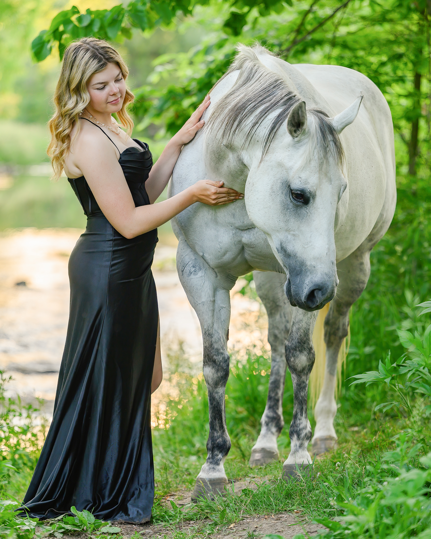 Girl in Black Dress with Gray Horse