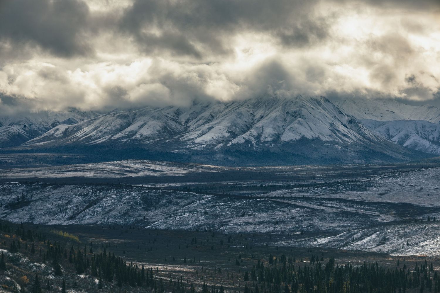 Denali National Park