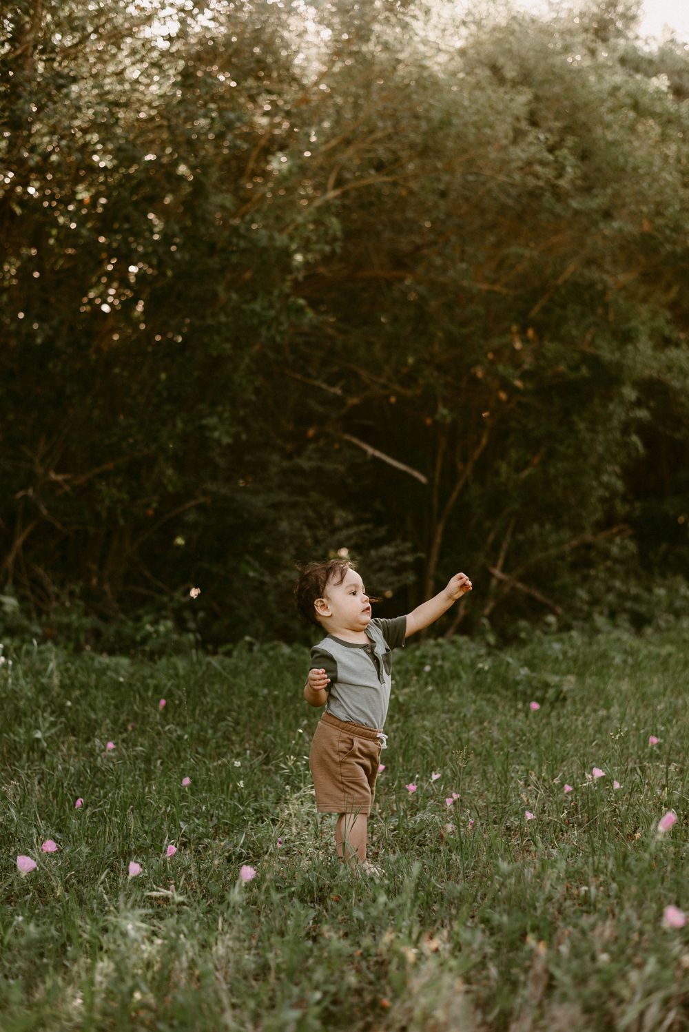 Small child in gray shirt reaches towards the sky in a flowering meadow at sunset.