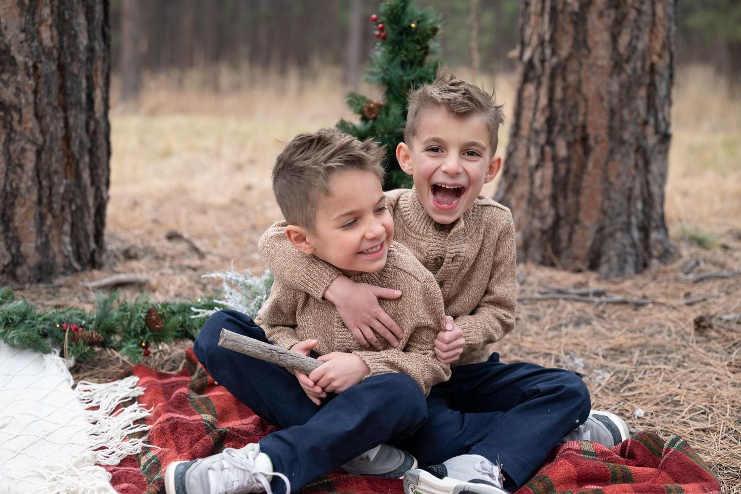 Holiday Mini Sessions in Colorado Springs