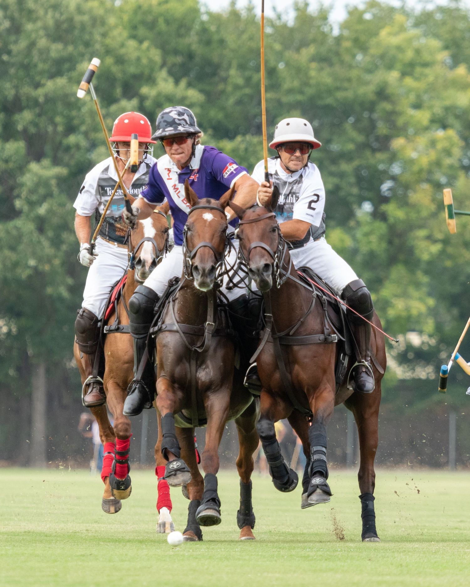 Polo
