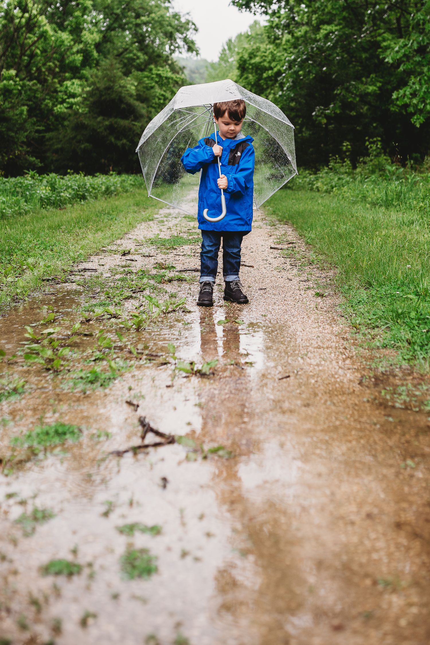 St. Louis Rainy Day Photos