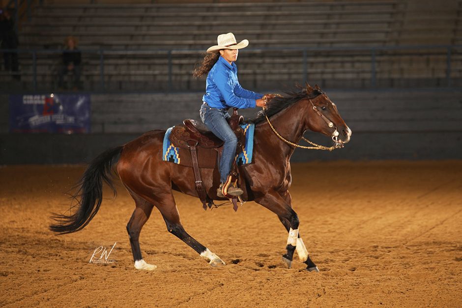 horse show photography