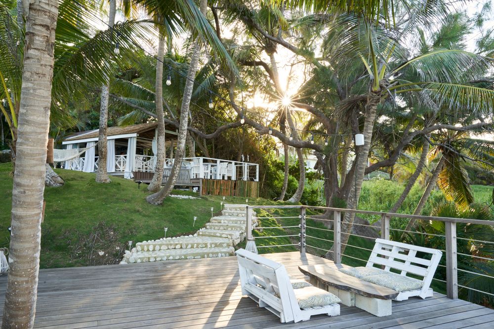 Palm tree-lined pathway leading to beachfront property at sunset.