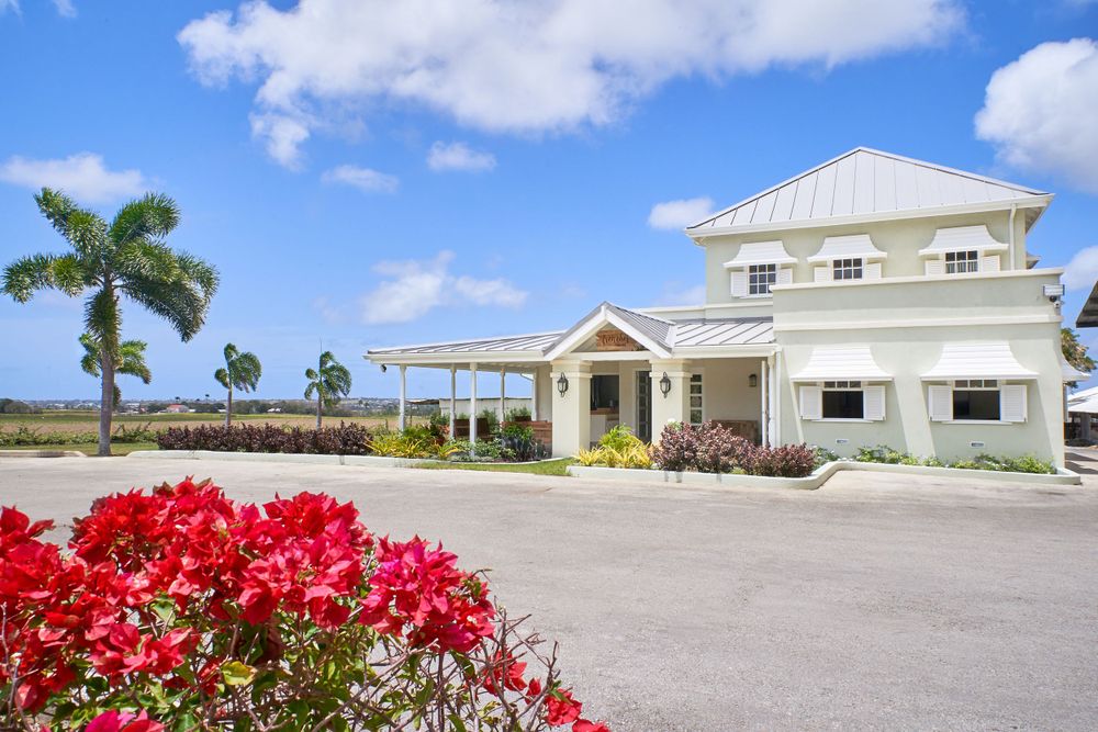 Aerial view of tropical beachfront property with white buildings and vibrant red flowers in the foreground.