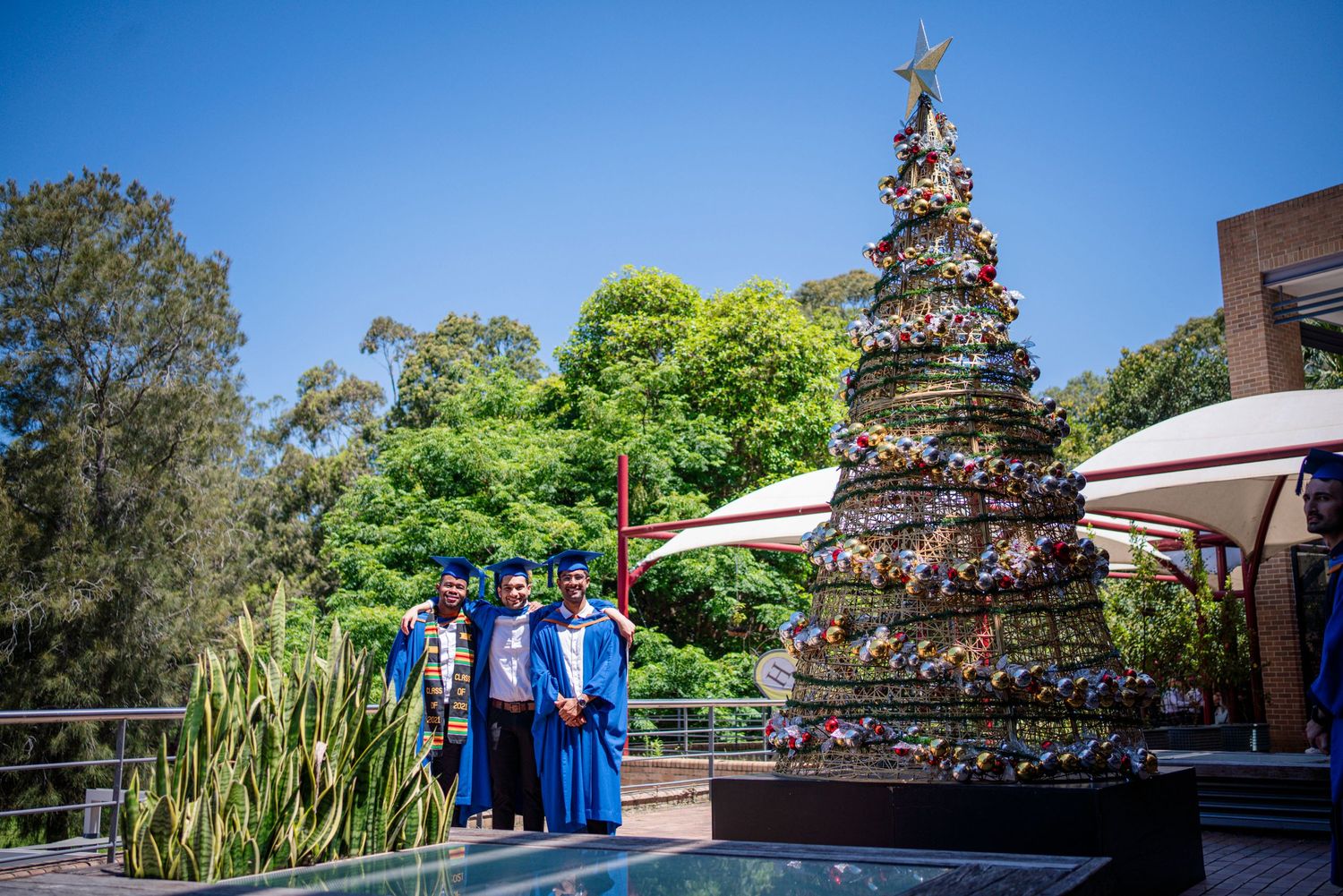 Multiple graduates in blue academic regalia stand against a scenic outdoor backdrop with trees and buildings.