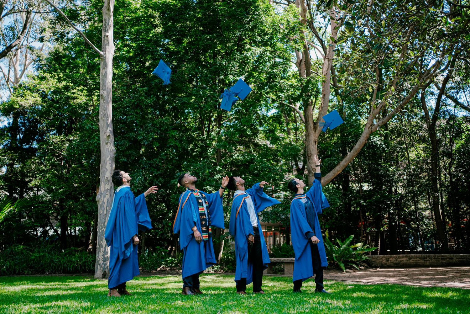 Graduates in bright blue robes walking in line through tree-lined pathway outdoors.