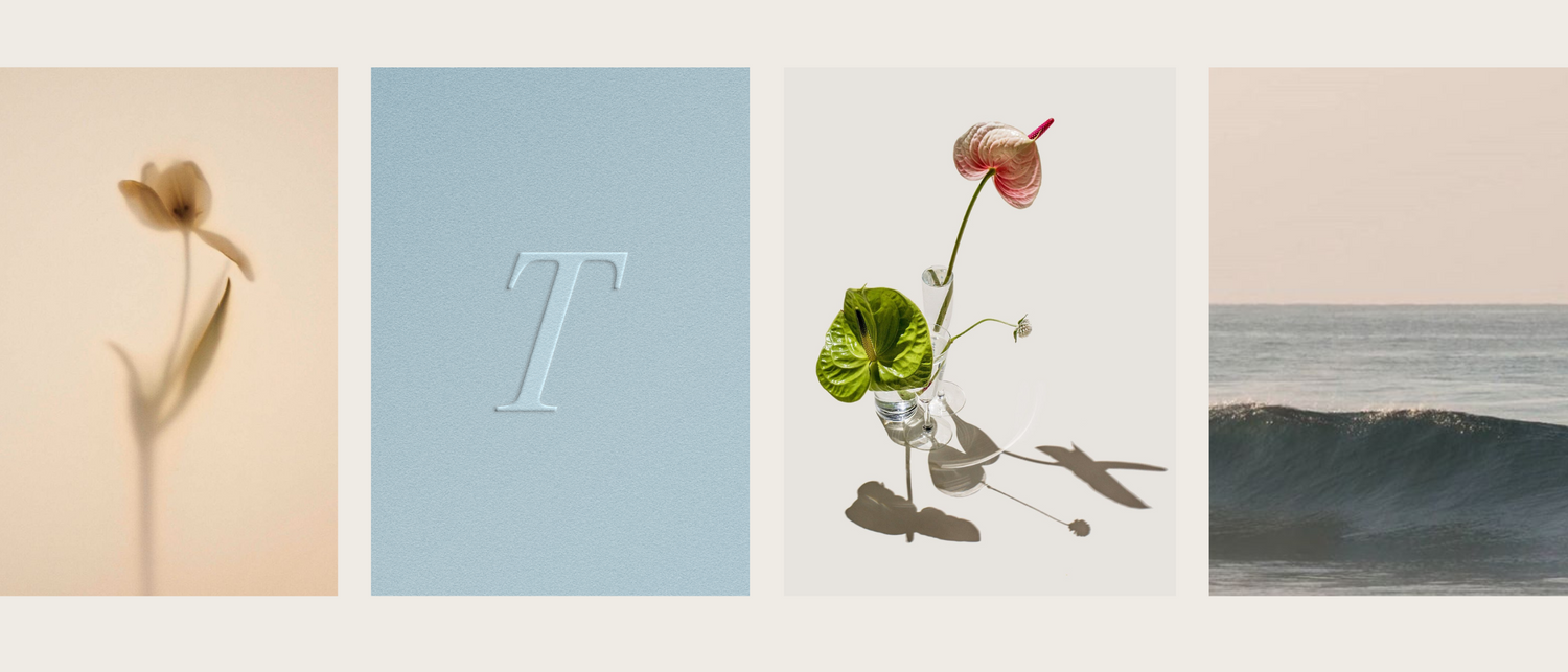 Minimal art collection featuring botanical elements and ocean scene in muted tones.
