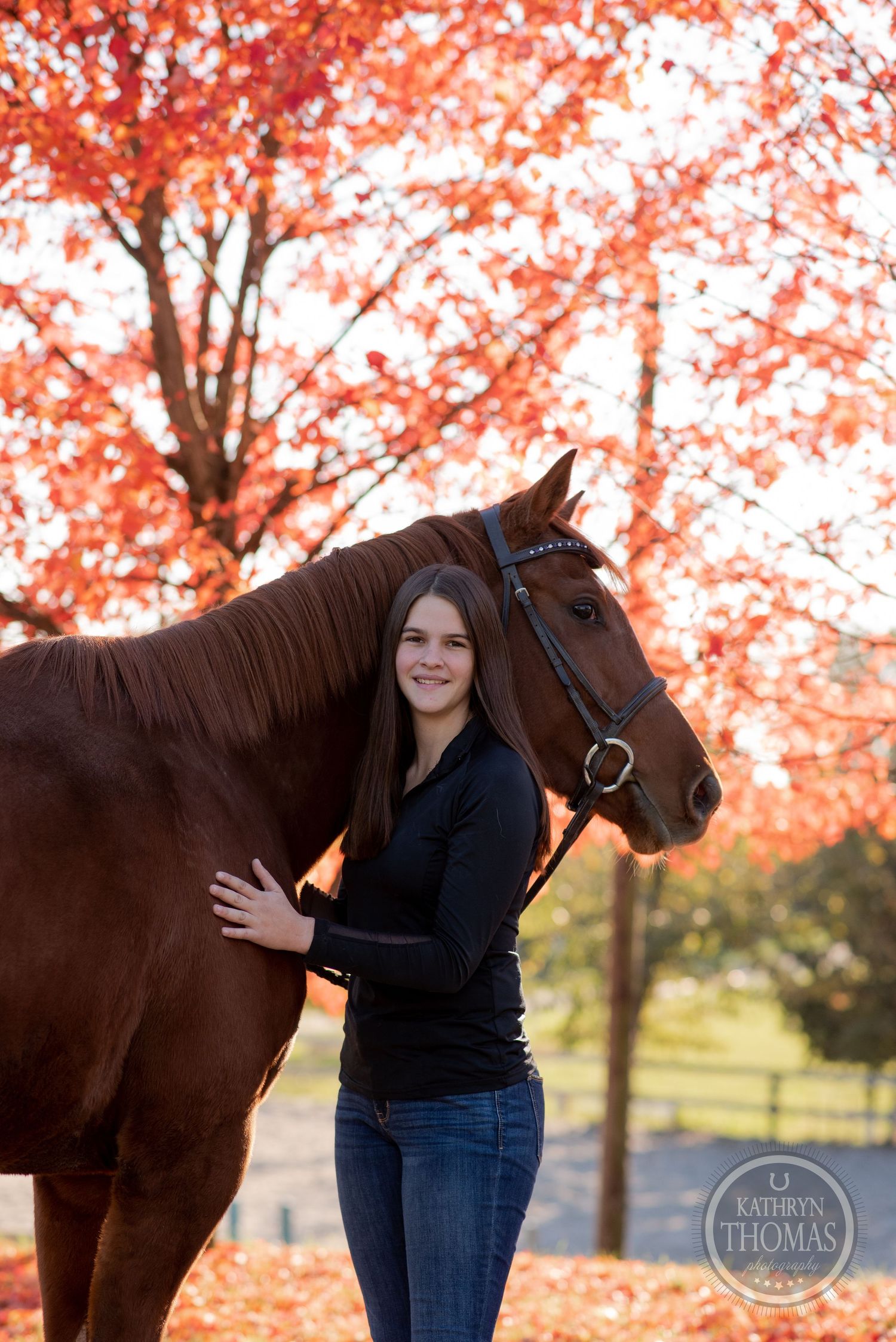 A brown horse and companion posing against vibrant orange fall foliage.