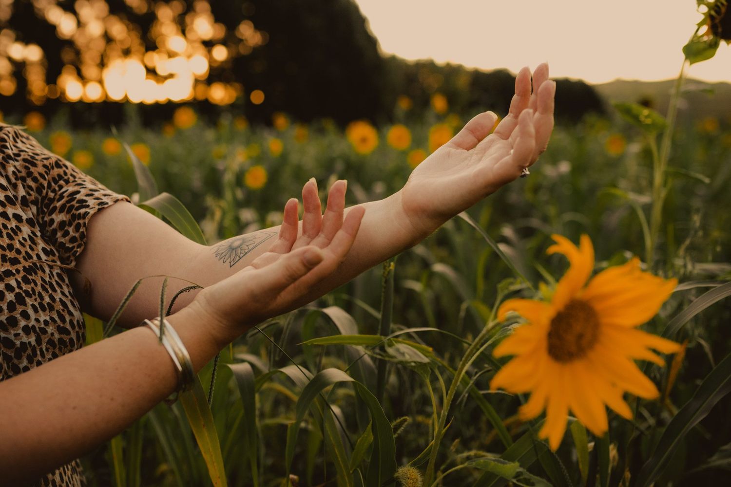 Sharnelle Lewis offers Reiki, sound healing, and transformational breathwork to restore balance, clear blockages, and support your journey