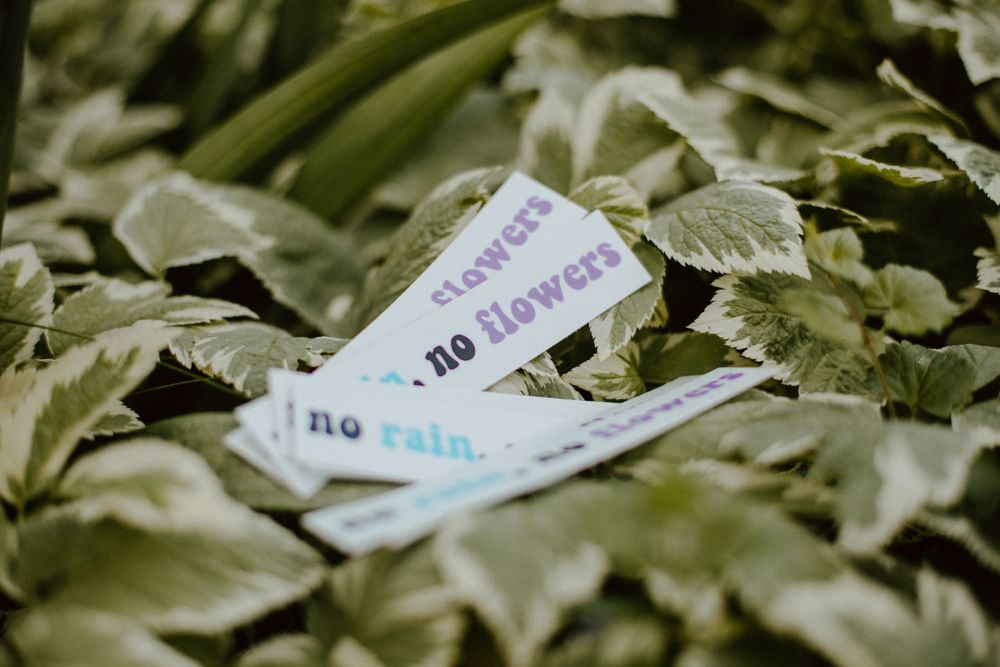 Close-up of leaves with subtle text overlay reading 'no rain, no flowers'.