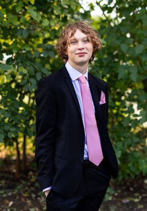 A sequence of formal portraits featuring someone in a black suit with a pink tie outdoors.
