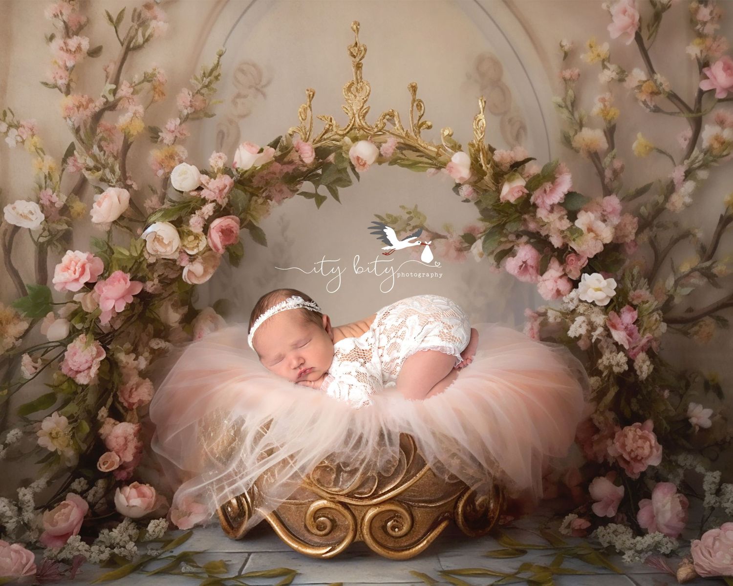 Absolutely Gorgeous Newborn Baby Girl Ellis Photography Westlake Cleveland Ohio