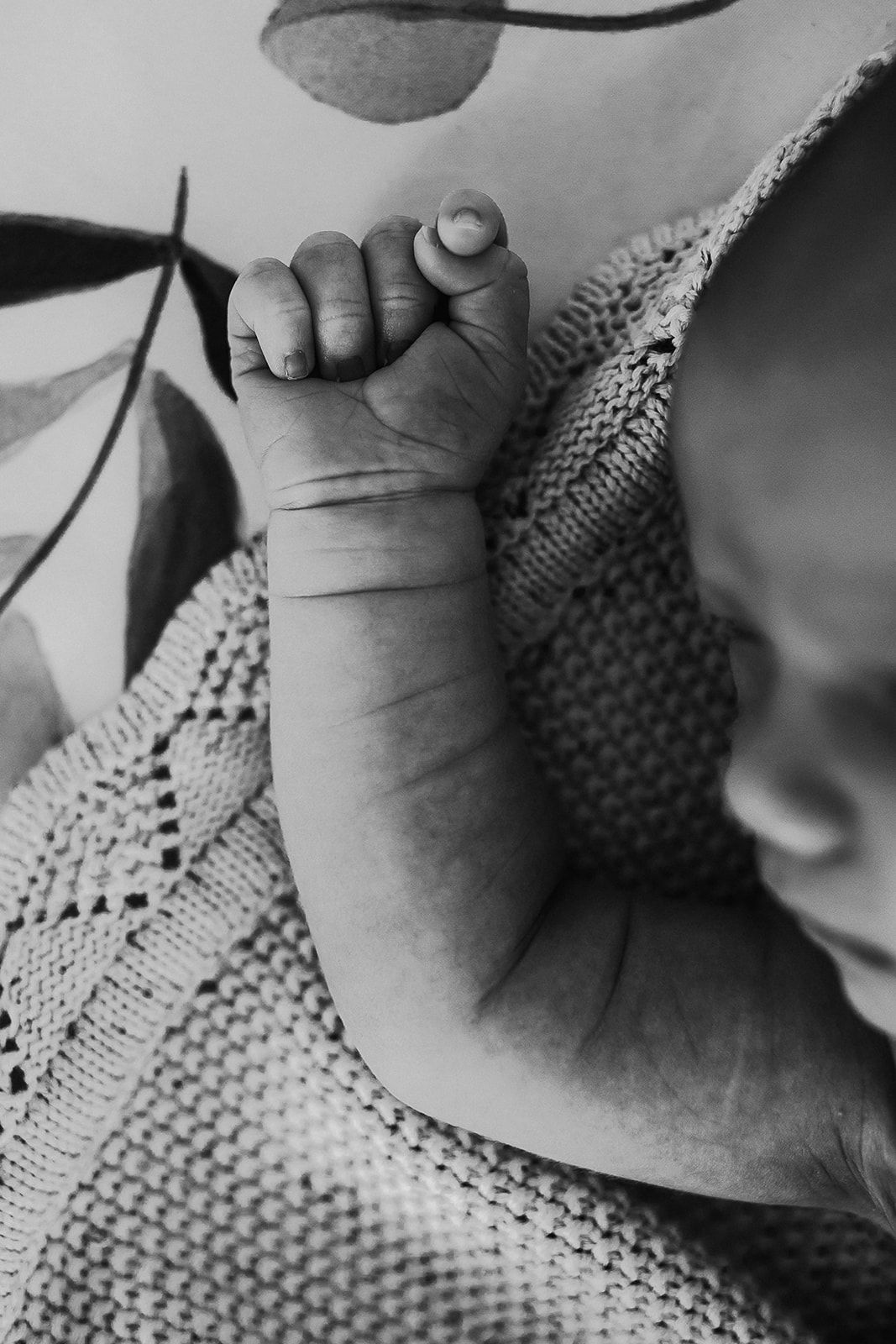 A black and white image of a baby's tiny arm and hand.