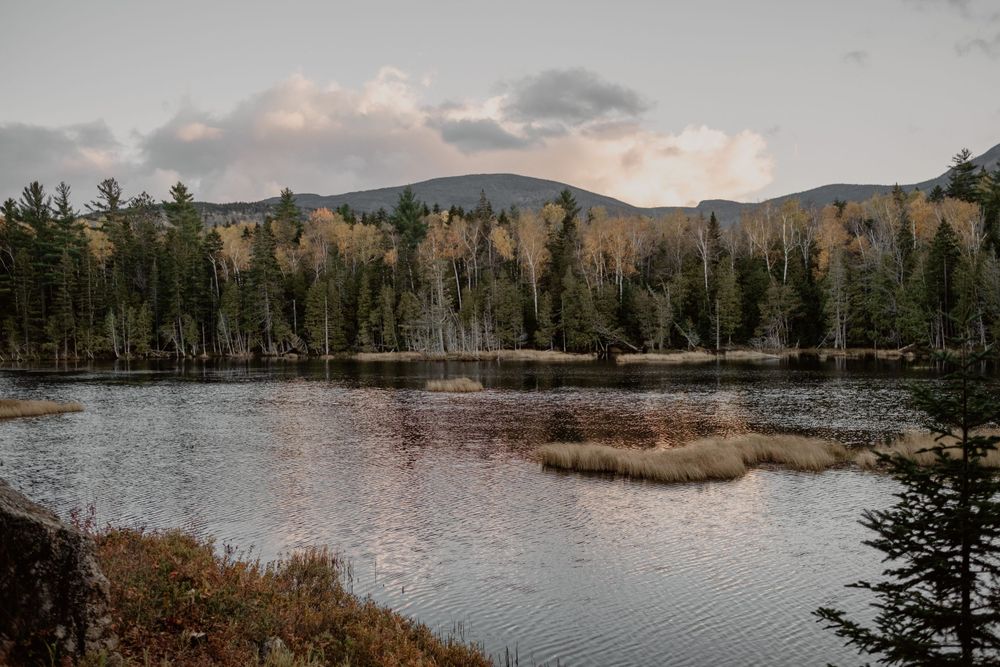 Sugarloaf Landscape