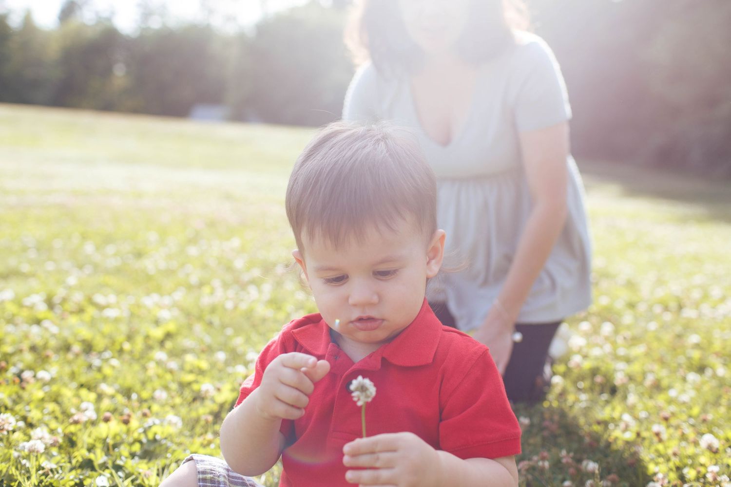 Everett family photography: A toddler plays with a flower at a maternity session in Willis Tucker Park in Snohomish